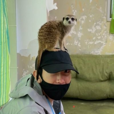 11111119sho's profile picture. 