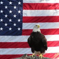 Eagle 11 (@eagle1190591196) 's Twitter Profile Photo Eagle 11 (@eagle1190591196) 's Twitter Profile Photo