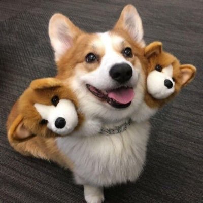 Dataon12's profile picture. 