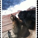 Rene Bernard - @inukshuk_ben - Twitter