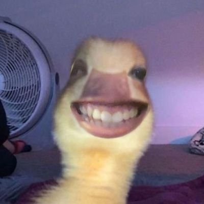 thewonderboy_oo's profile picture. ☮愛

ARIGATO☯

17