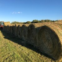 Seed Master (@trevor4016) 's Twitter Profile Photo Seed Master (@trevor4016) 's Twitter Profile Photo