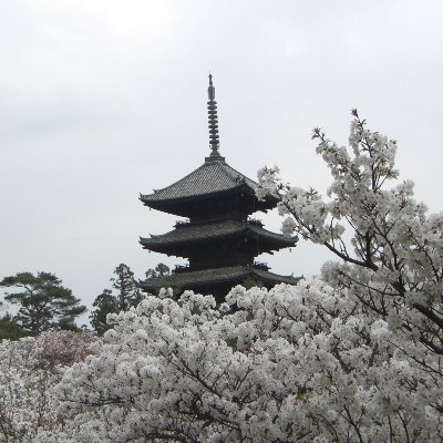 cafe_match's profile picture. 