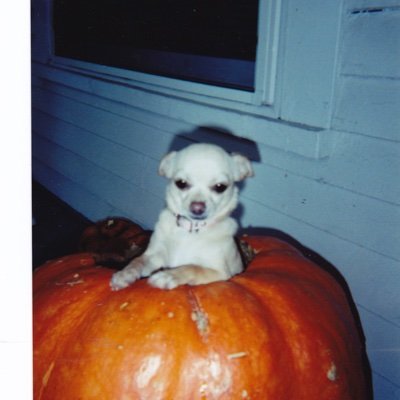 smiles5749's profile picture. 