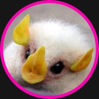 S❌MUEL (@sxmuelmusic) 's Twitter Profile Photo