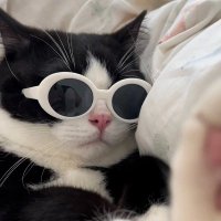 Fancy Nan (@fancynhuu) 's Twitter Profile