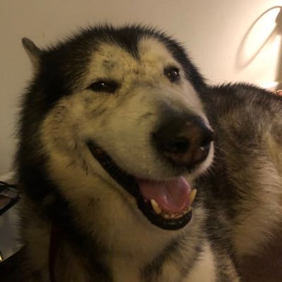 ninjajayne's profile picture. happy happy happy life is what you make it!!!!!!!!