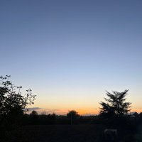 TheDarkHorse (@h0rsedark) 's Twitter Profile