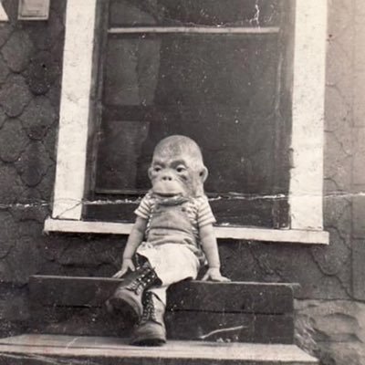 daniely3e's profile picture. 