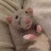 Chad Rat (@chadrat3d) Twitter profile photo Chad Rat (@chadrat3d) Twitter profile photo