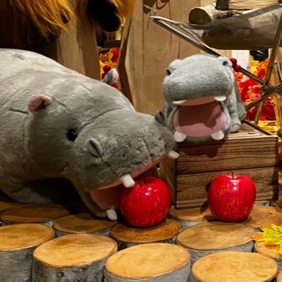 nana_6349's profile picture. 