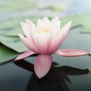 Tracy Preece - @tracyppreece - Twitter