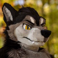Tsume (@tsumef4n) 's Twitter Profile
