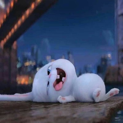 hayaKhazi's profile picture. 