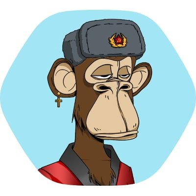 bitdata18069711's profile picture. Crypto & NFT Collector | Enthusiast