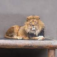 coinci2552's profile picture. 