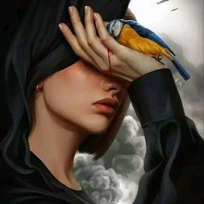 Sohaib20617835's profile picture. 