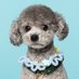 PTJ (@ptjgg_10) Twitter profile photo PTJ (@ptjgg_10) Twitter profile photo