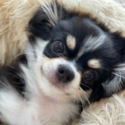 wen37055982's profile picture. 