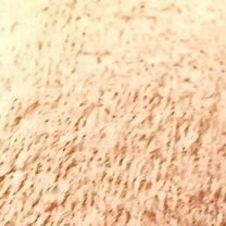 UROBOROS0513's profile picture. 中身はインスタントうどん