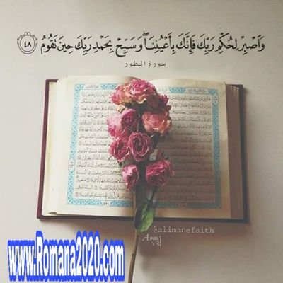 5olod_1995's profile picture. 