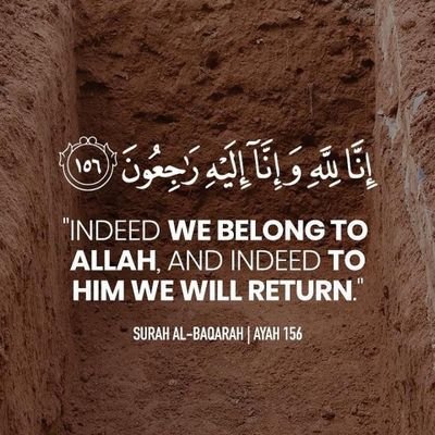 lqlmbyn4's profile picture. 