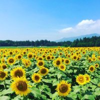 Teri(てりたろう🗻) (@genugrateful) 's Twitter Profile Photo Teri(てりたろう🗻) (@genugrateful) 's Twitter Profile Photo