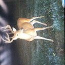 chuck adams - @chuckadams3 - Twitter