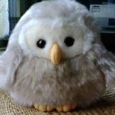 Keith_jp's profile picture. フットボール（頑張れ町田ゼルビア）にブルース、ロック（Stones、Led Zeppelin、RC、Sliders等々）と酒無しでは生きられない男です！7０年代からフットボールに夢中。