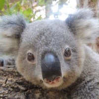 otakes (@takeessyy) 's Twitter Profile