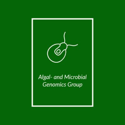 Our laboratory led by  Gergely Maróti primarily works on the evolution of alga-bacterial interactions and biotechnological exploitation of these interactions.