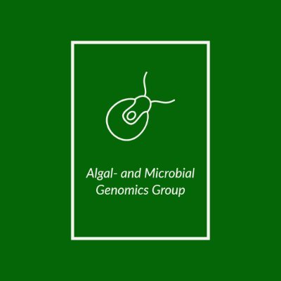 Our laboratory led by Gergely Maróti primarily works on the evolution of alga-bacterial interactions and biotechnological exploitation of these interactions.