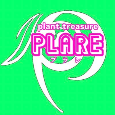 塊根植物(コーデックス)と観葉植物をメインに多肉植物や苔玉モンスターなどの植物と🍀レジンを使ったオリジナルの鉢や苔玉を置ける台座など、お部屋をオシャレにするお手伝いをしております✨ お探しの植物がございましたらお気軽にDMにてお問い合わせください🪴