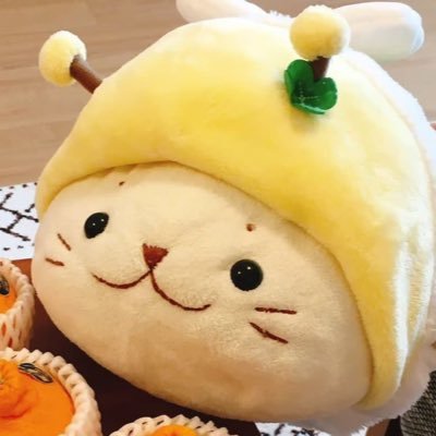しろたん歴18年 しろたん大好きでいつも一緒に過ごしています。食べる時もテレビを見る時も。しろたんを抱かないと眠れません。たくさんのしろたニストの方々と繋がれたら嬉しいです。#しろたん