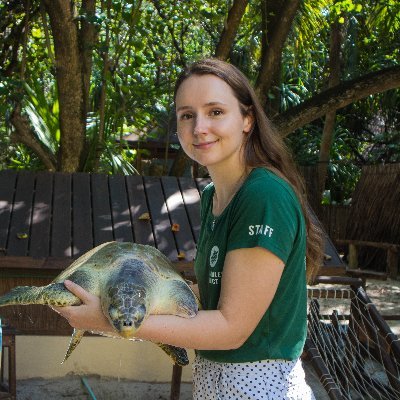 Sea turtle veterinarian 🐢