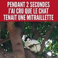 Djakool (@djakool4djakool) 's Twitter Profile