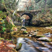 discoveringplacesandnature (@discoveringnatu) 's Twitter Profile
