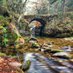 discoveringplacesandnature (@discoveringnatu) Twitter profile photo discoveringplacesandnature (@discoveringnatu) Twitter profile photo