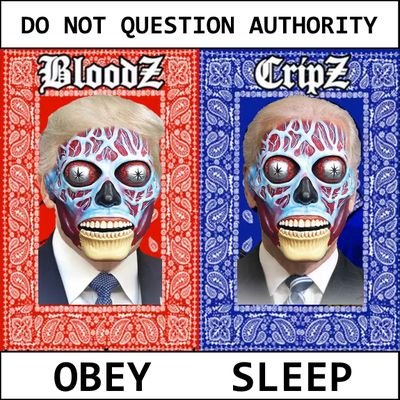 toratb's profile picture. I follow progressives.