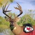 Rodger🎄🦌🚜 🦃 (@gobblerodger) Twitter profile photo Rodger🎄🦌🚜 🦃 (@gobblerodger) Twitter profile photo