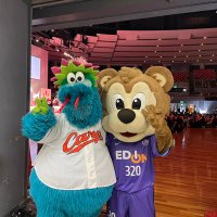 くま (@sanccefrecce1) 's Twitter Profile