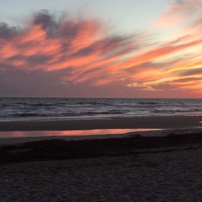 Dennis42772600's profile picture. 