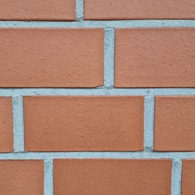 kritzelwitz's profile picture. 