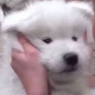 kdidkdkdksksks's profile picture. 