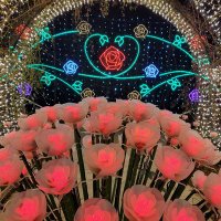よーちん (@yoshi_asobitai) Twitter profile photo