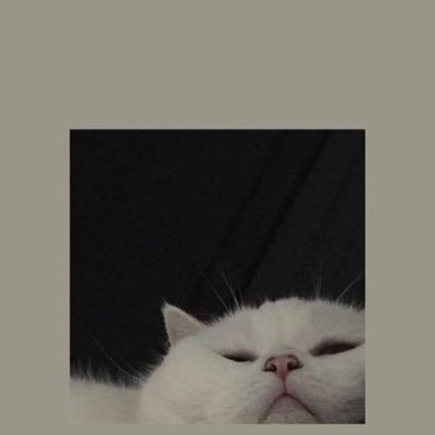 GamingTrcs's profile picture. 