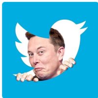 Tom Young ¯\_(ツ)_/¯ (@eastcoasttjy) Twitter profile photo