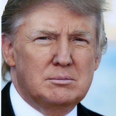 Donald J. Trump(FAKE)さんのプロフィール画像