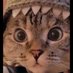 Blindado (@gerardo48835399) Twitter profile photo Blindado (@gerardo48835399) Twitter profile photo