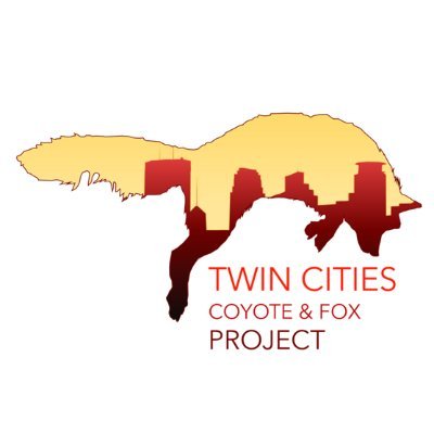 A University of Minnesota project funded by the ENRTF researching wild canids in the Twin Cities Metro Area.